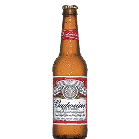 Bud - in vetro 33cl